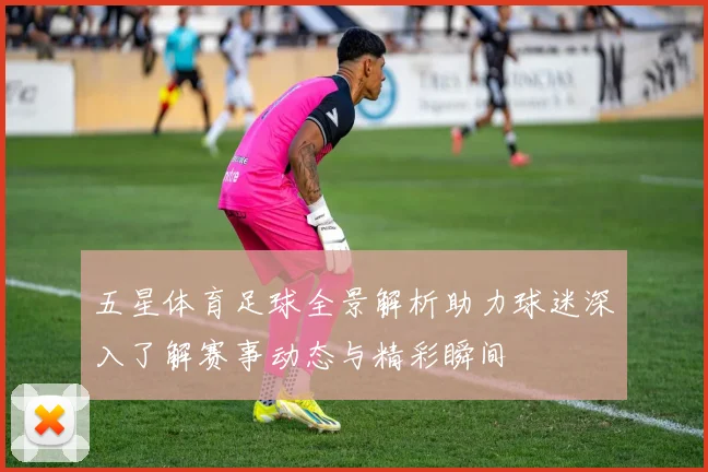 五星体育足球全景解析助力球迷深入了解赛事动态与精彩瞬间