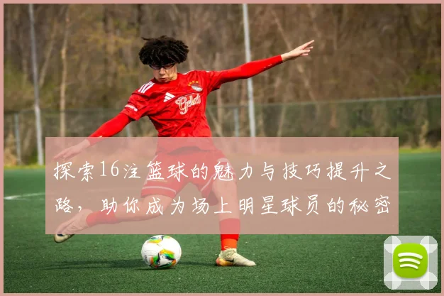 探索16注篮球的魅力与技巧提升之路，助你成为场上明星球员的秘密武器