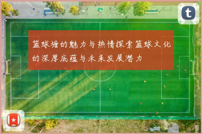 篮球塘的魅力与热情探索篮球文化的深厚底蕴与未来发展潜力