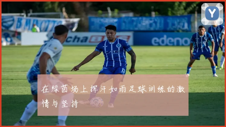 在绿茵场上挥汗如雨足球训练的激情与坚持